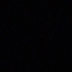 Meet your Posher, Rocky